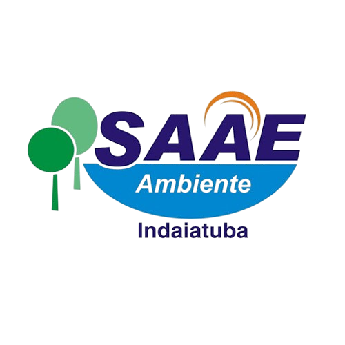 Logo Saae